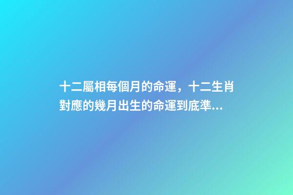 十二屬相每個月的命運，十二生肖對應的幾月出生的命運到底準不準？ 屬兔人出生月的命運屬兔每個月出生詳解-第1張-觀點-玄機派